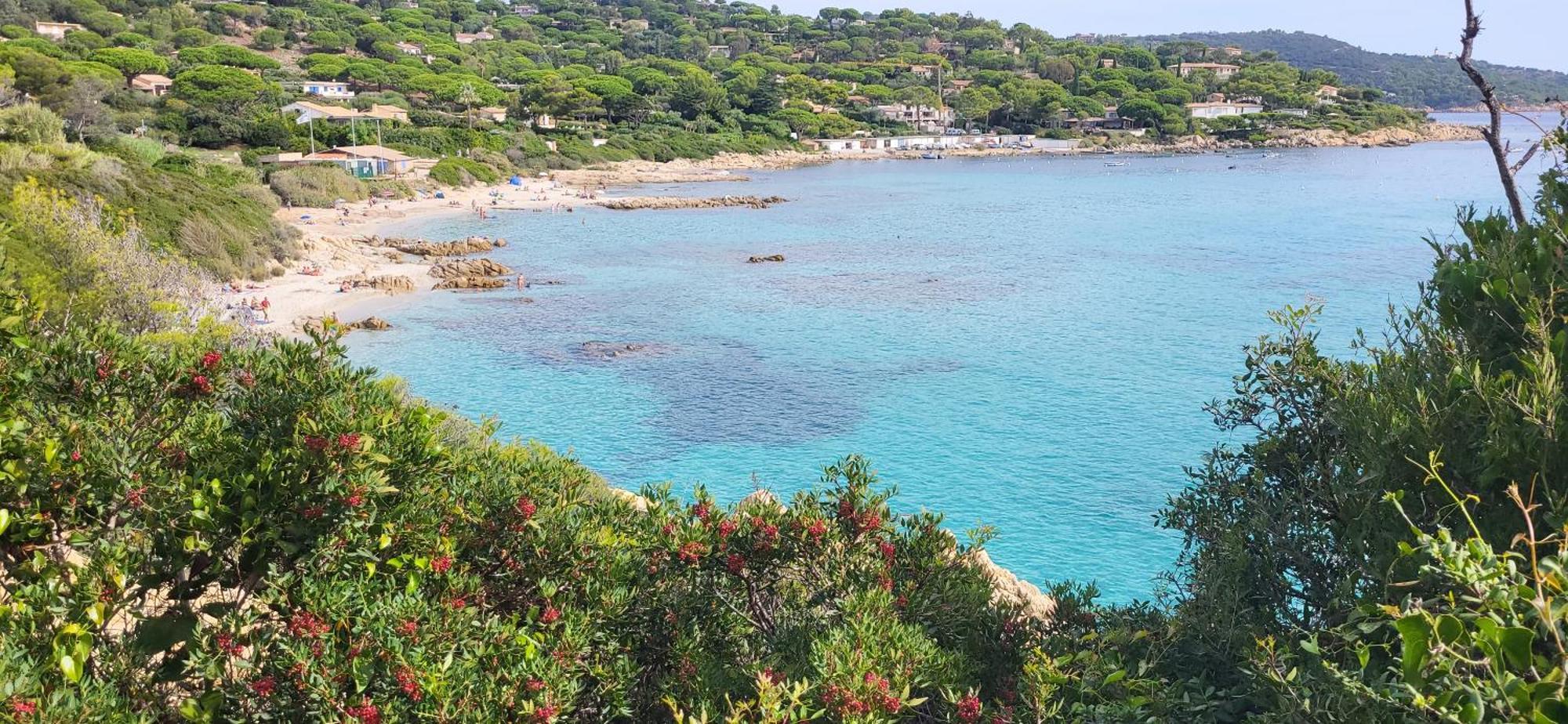 L'Aloe Vera Le Plan-de-la-Tour Esterno foto